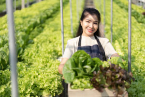 asian women grow hydroponics vegetables in greenho 2025 01 10 11 11 32 utc