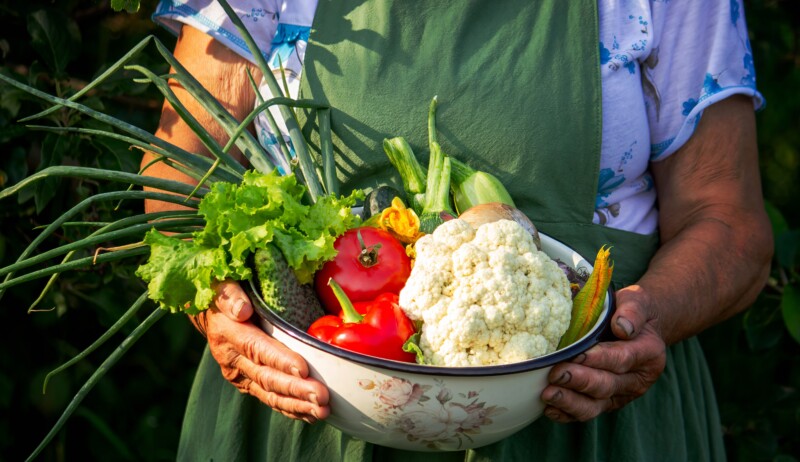 aged woman holding a bowl of vegetables in the garden.